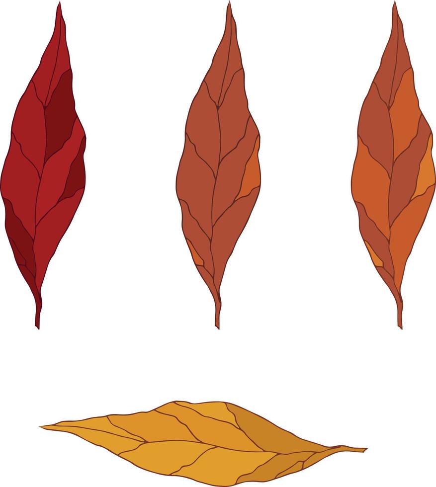 Hand drawn leaves in different autumn colors. Isolated objects. Vector art