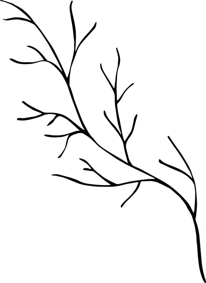 Black branch isolated on white background. Hand drawn vector art