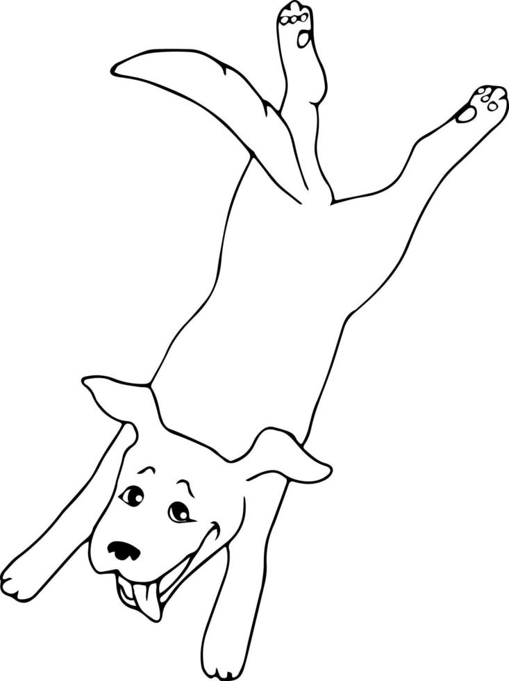 Happy jumping dog. Black and white sketch. Black line simple icon. Hand drawn vector illustration