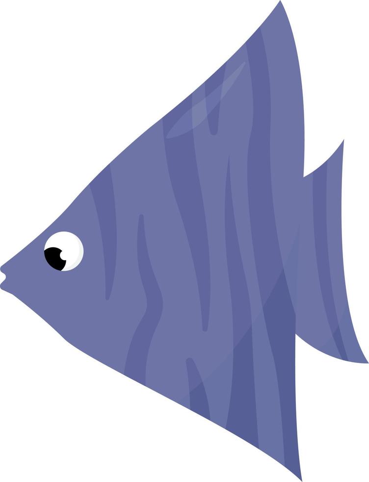 Angelfish , illustration, vector on white background