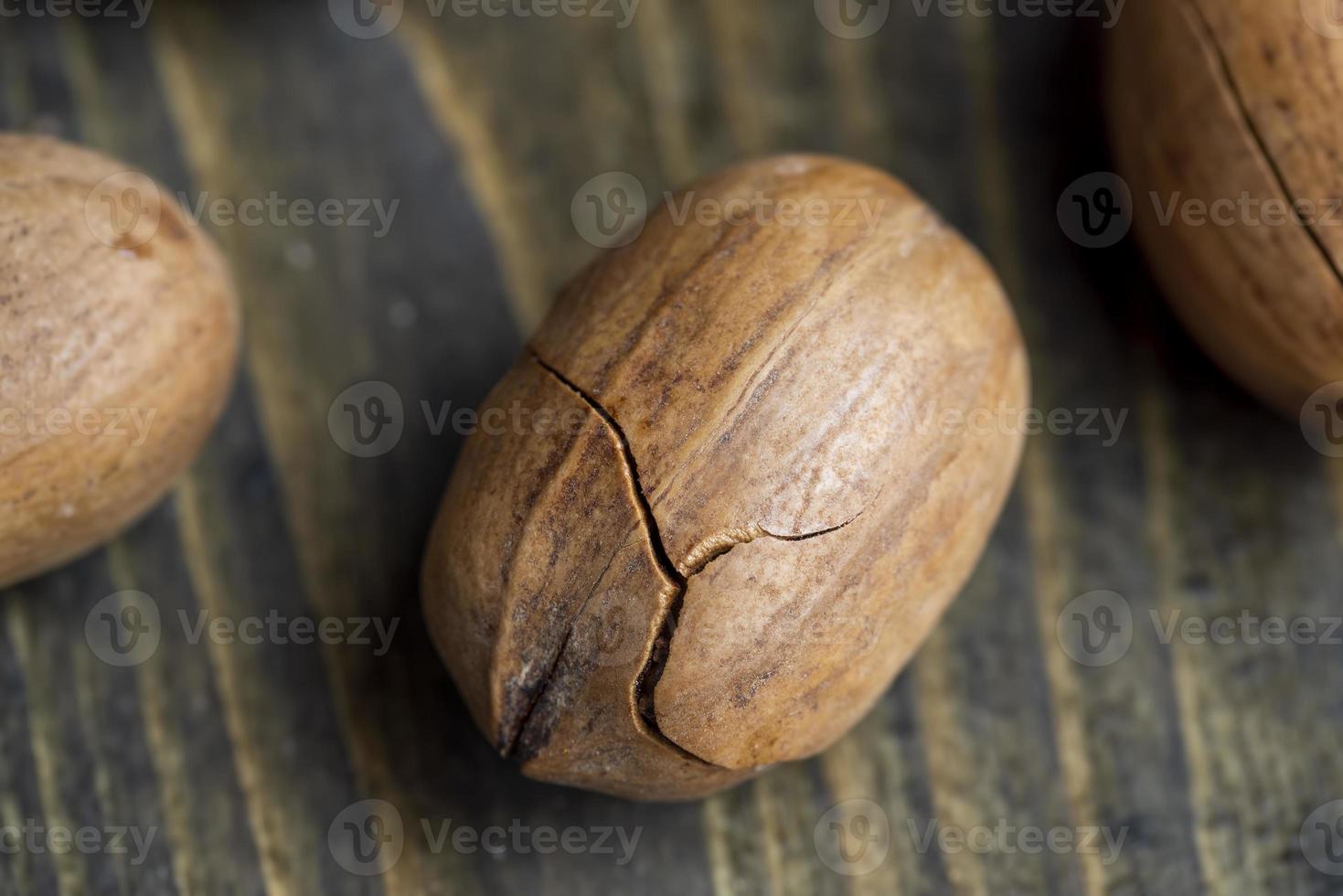 Pecan in a shell on the table photo