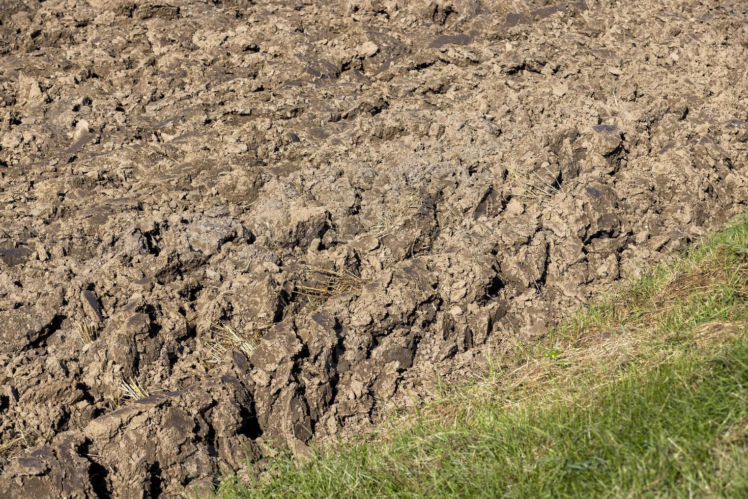 Preparation of soil for sowing plants photo