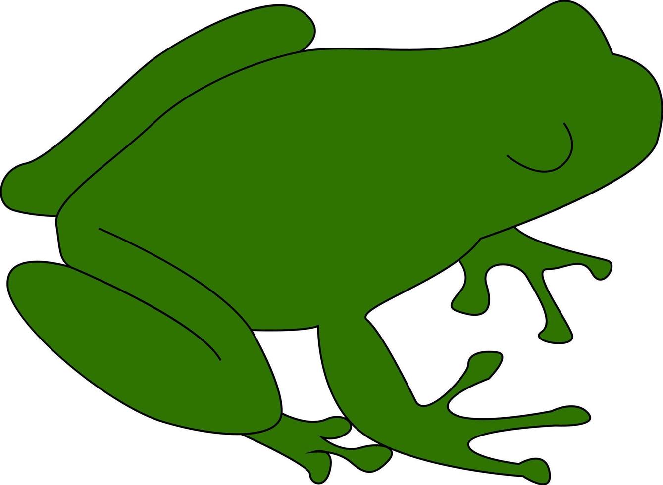 Green frog, illustration, vector on white background.