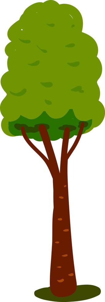 Long tall tree, illustration, vector on white background.