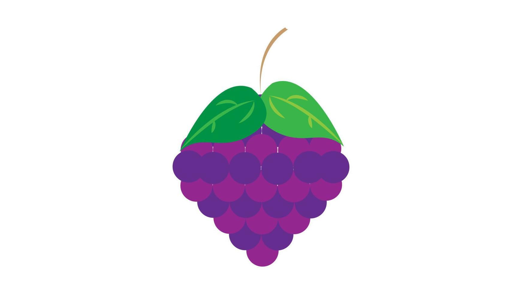 Purple Grapes Illustration - Bunch of purple grapes with stem and leaf isolated on white background vector