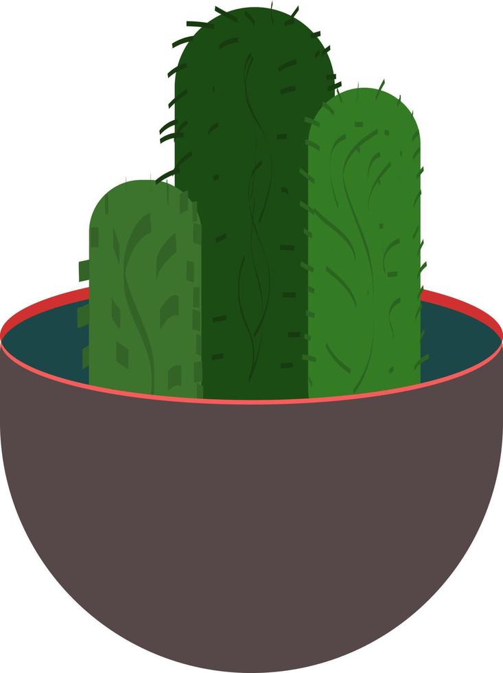 Green cactus, illustration, vector on white background.