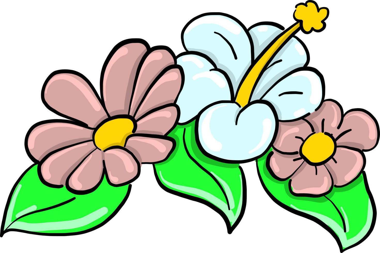 flores planas, ilustración, vector sobre fondo blanco