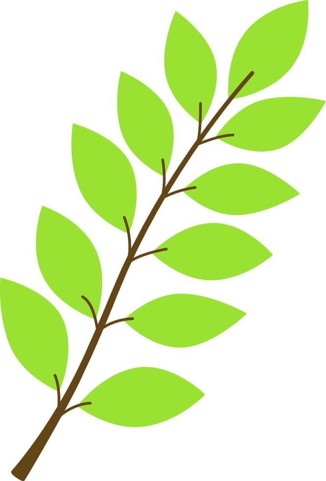 Vector illustration of a green autumn branch. Autumn twig of green color. An idea for a logo, fashion illustrations, magazines, printing on clothes, advertising, coloring books, tattoo sketch or mehen