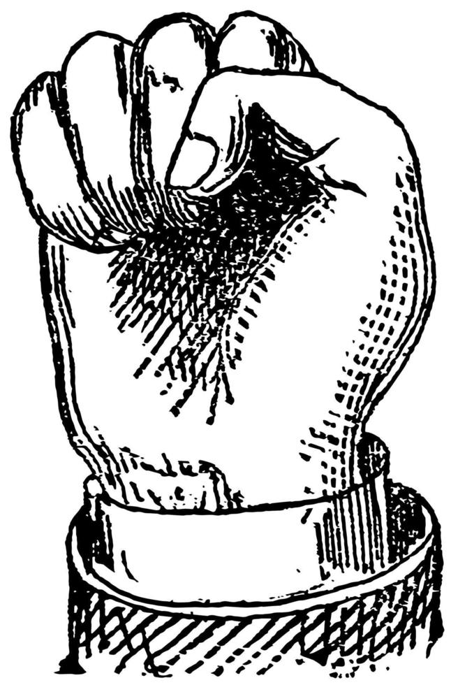 Fist image, vintage engraving. vector