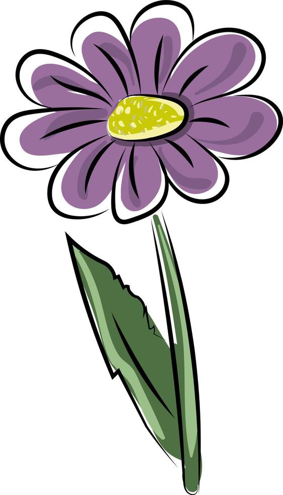 flor morada, ilustración, vector sobre fondo blanco.