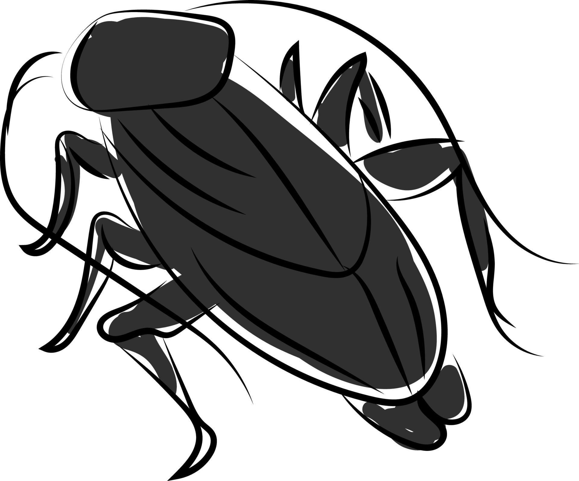 Black cockroach, illustration, vector on white background. 13633271