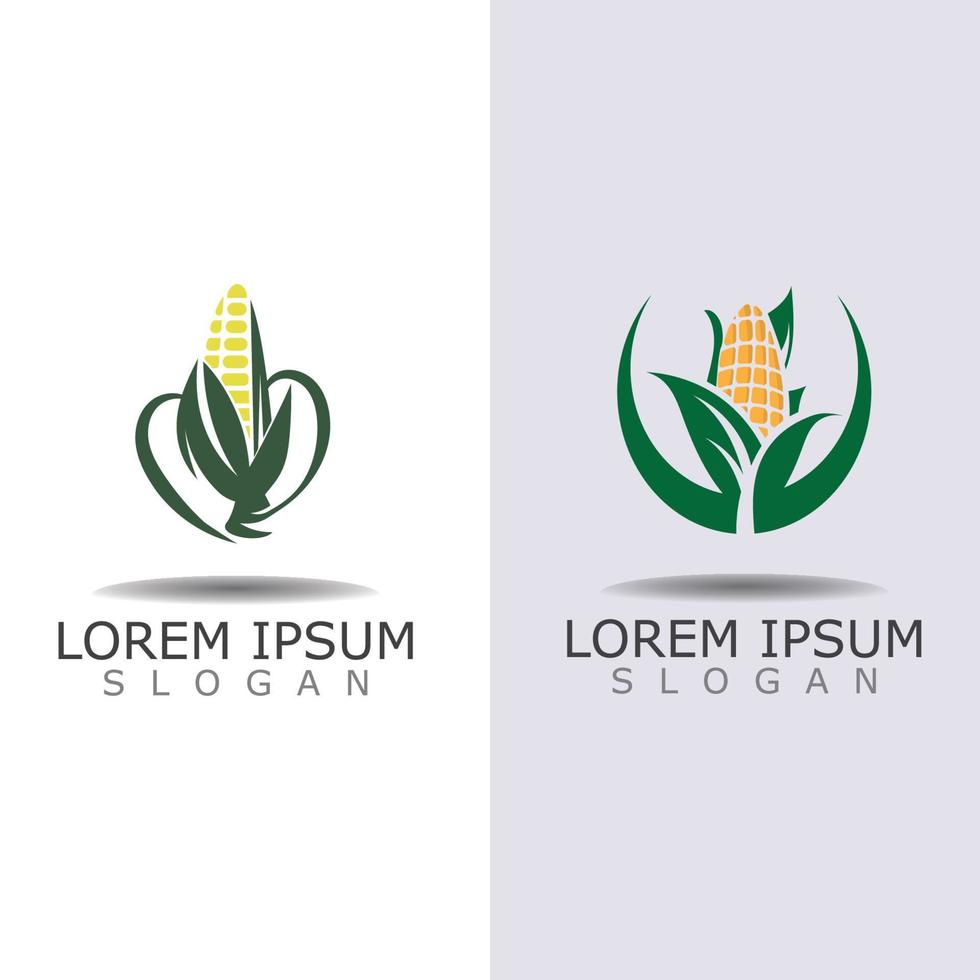 Corn simple logo design agriculture farming vector