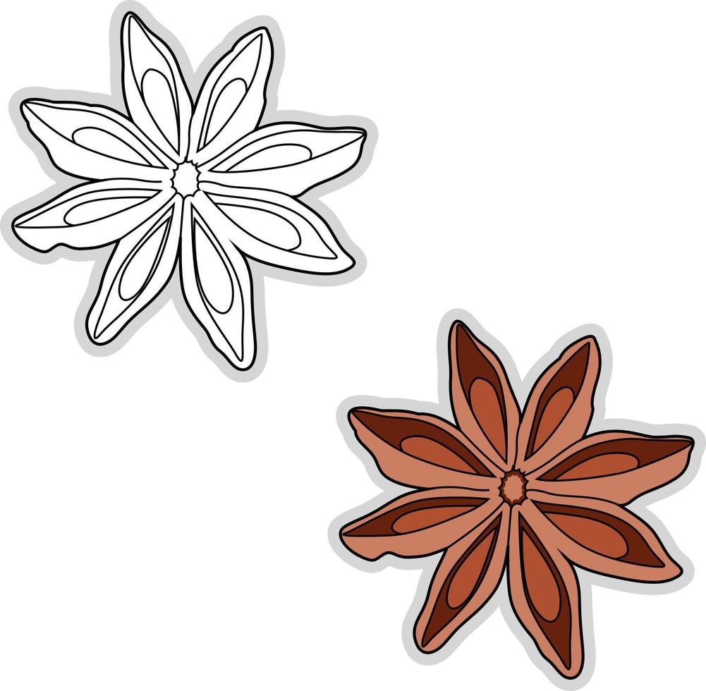 Brown anise, illustration, vector on white background.