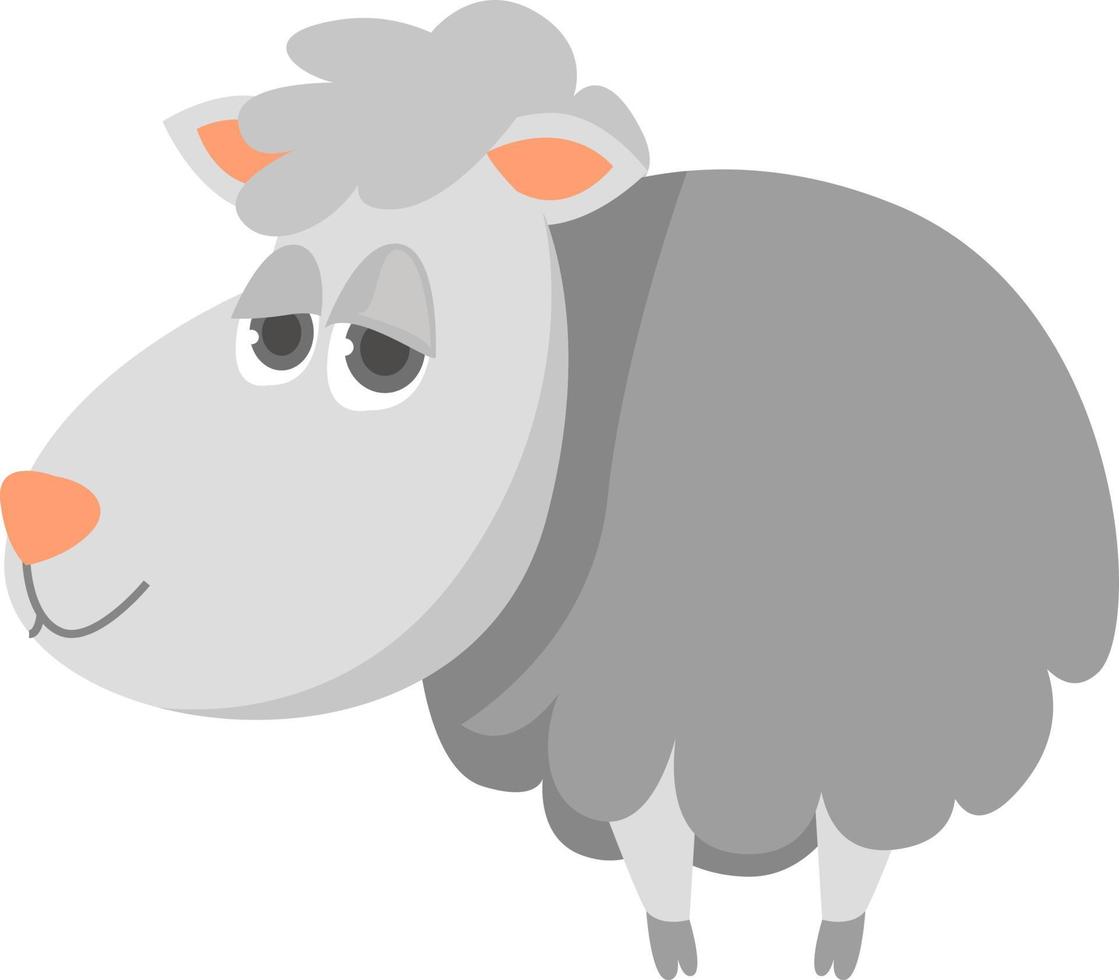 White sheep , illustration, vector on white background