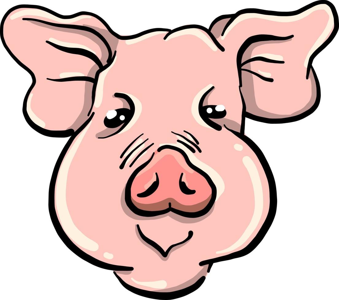 Pigs head, illustration, vector on white background