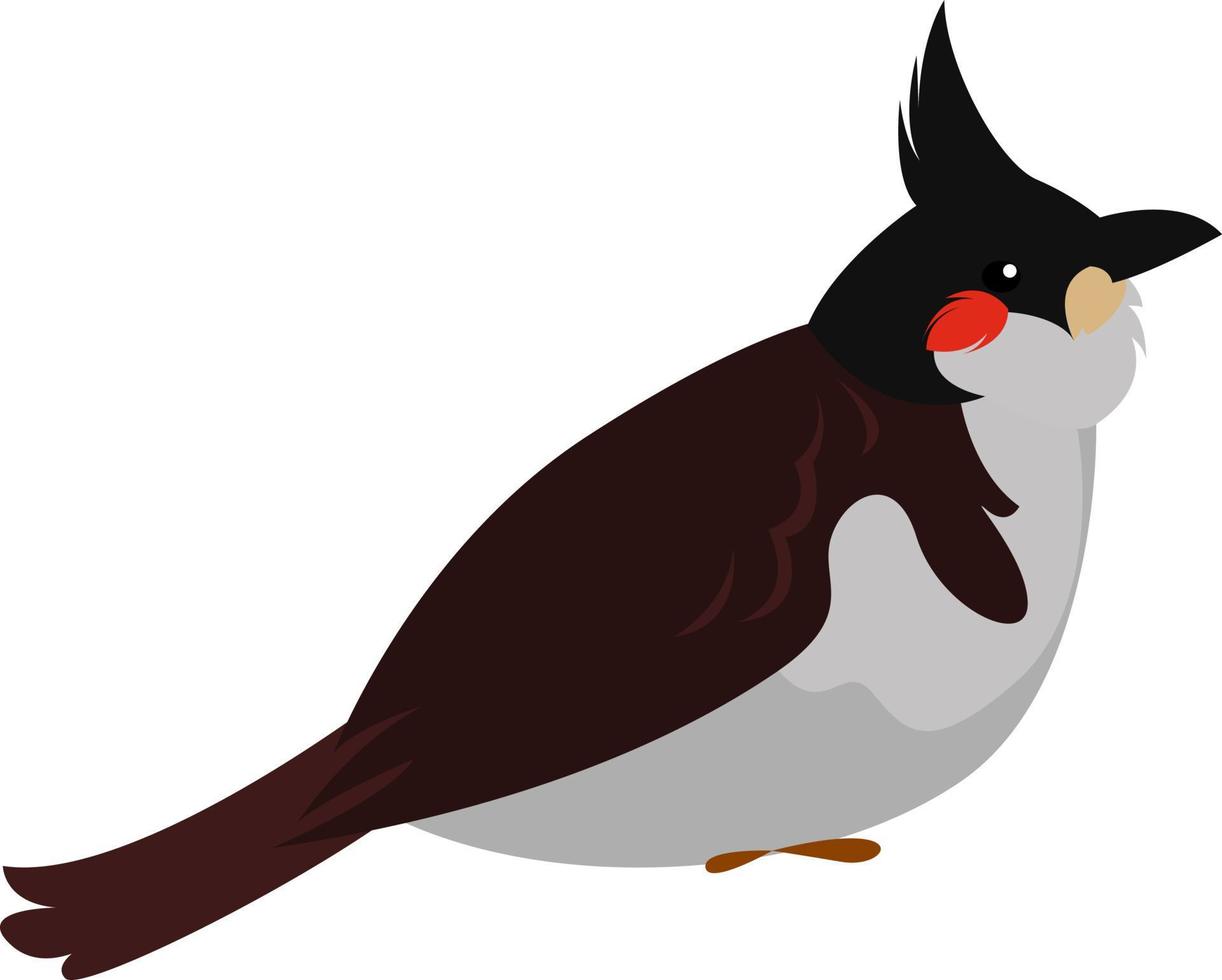 Cute bulbul bird, illustration, vector on white background