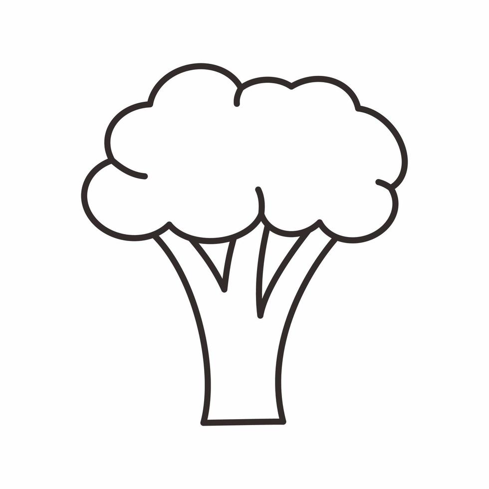 brokoli outline icon vector