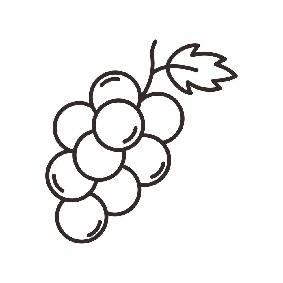 grape outline style icon vector