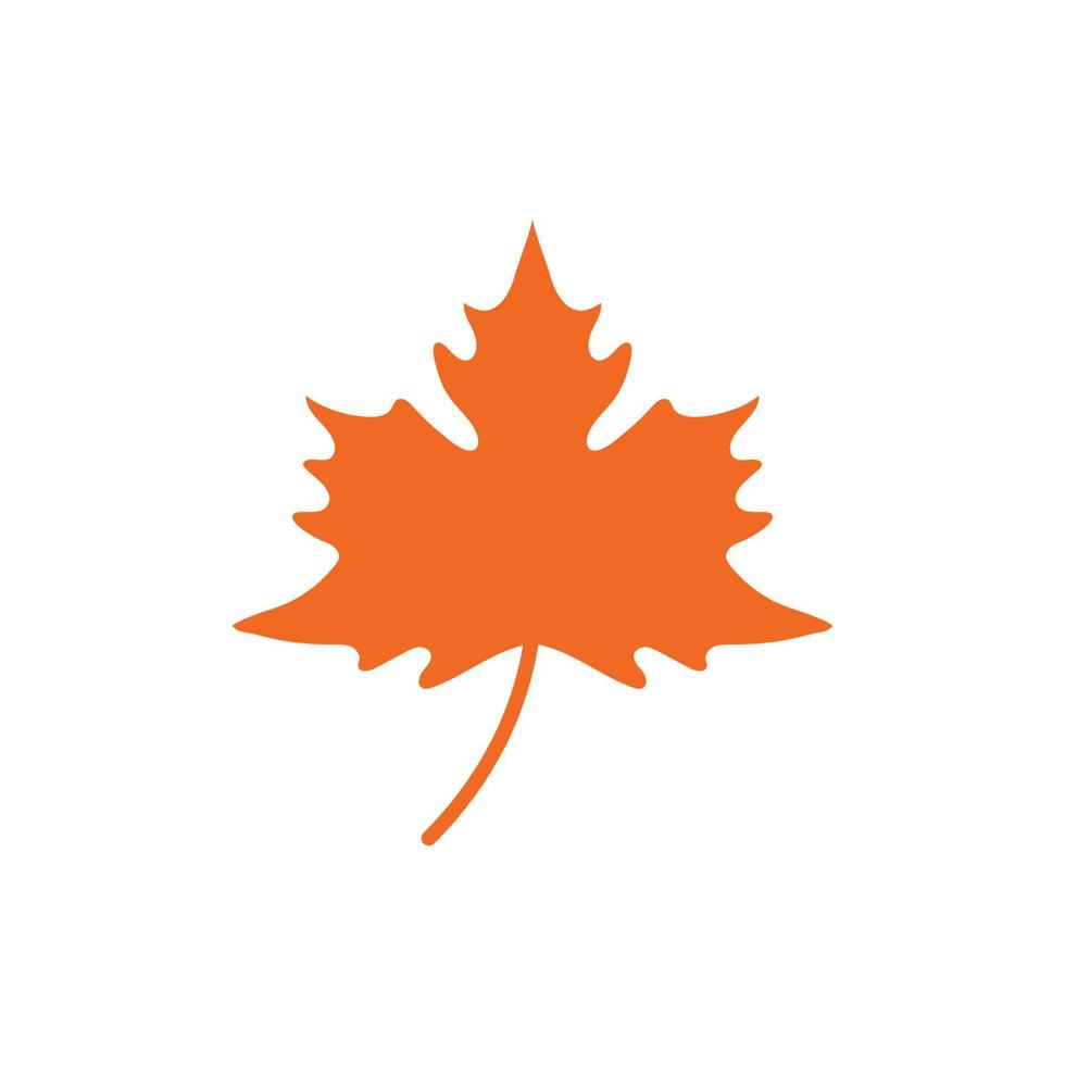 Maple leaf vector illustration