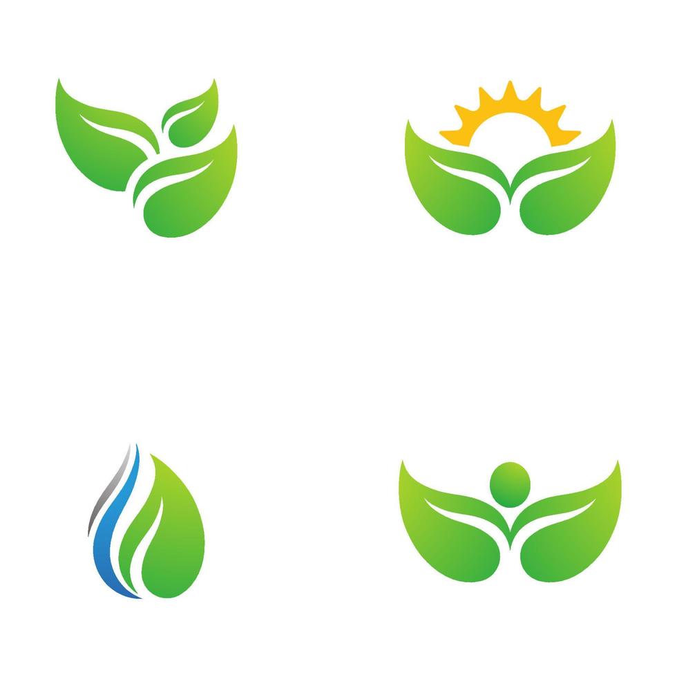 Logos of green Tree leaf ecology vector