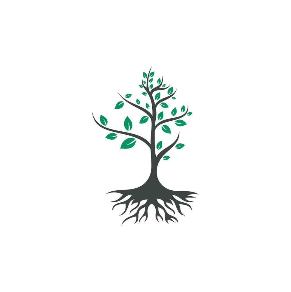 diseño de logotipo vectorial de raíces de árbol. árbol vectorial con elemento de logotipo de raíces. vector
