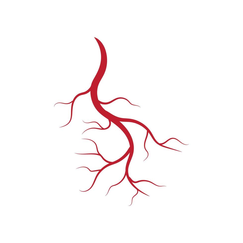 Human veins and arteries illustration vector