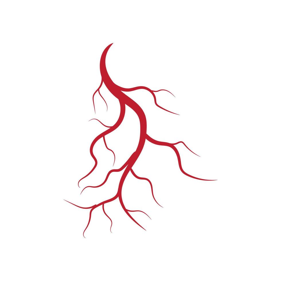 Human veins and arteries illustration vector