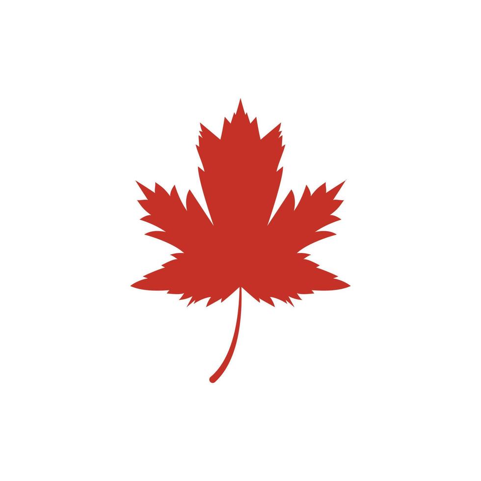 Maple leaf vector illustration