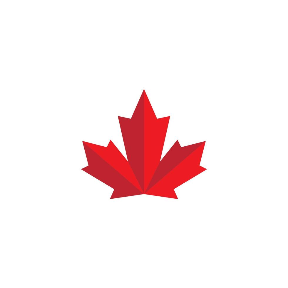 Maple leaf vector illustration