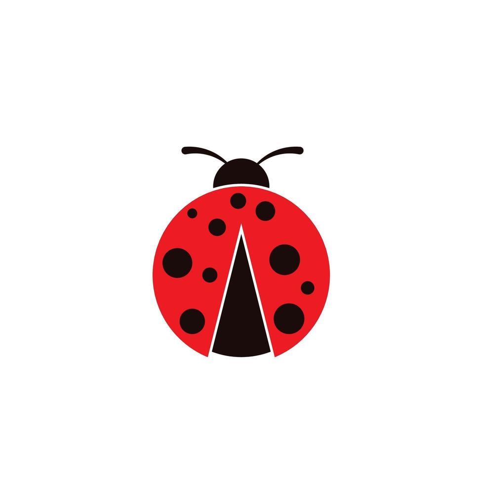 Beauty bug vector illustration icon