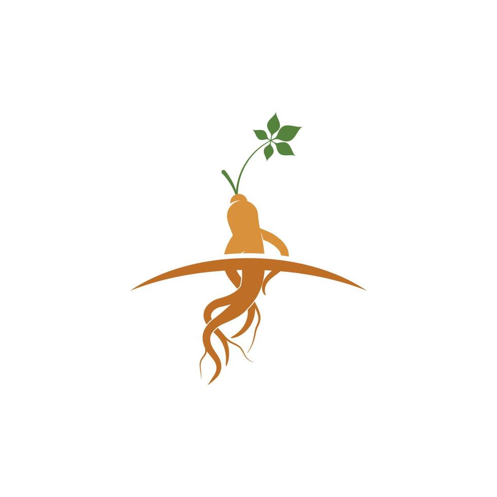 Ginseng vector icon illustration