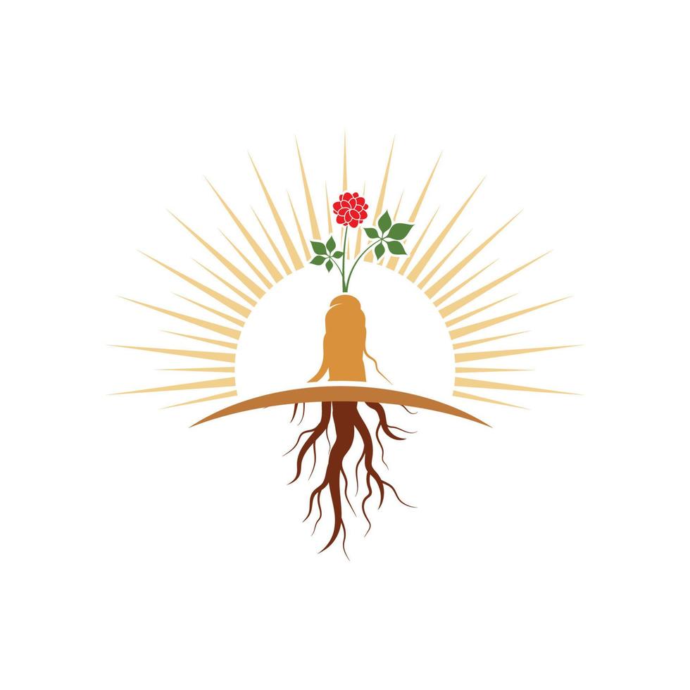Ginseng vector icon illustration