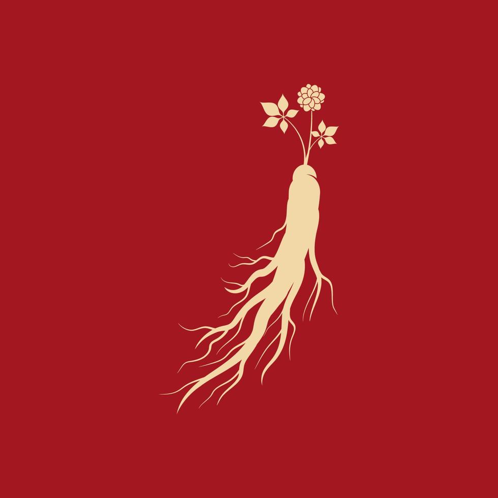 ilustración de icono de vector de ginseng