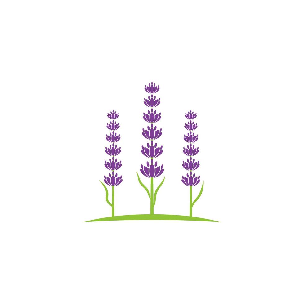 Lavender flower Vector icon illustration