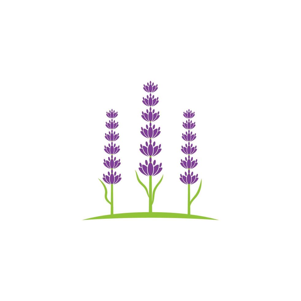 ilustración de icono de vector de flor de lavanda