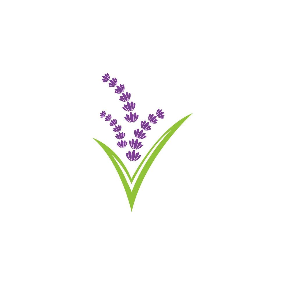 ilustración de icono de vector de flor de lavanda