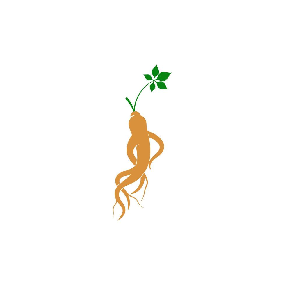 Ginseng vector icon illustration