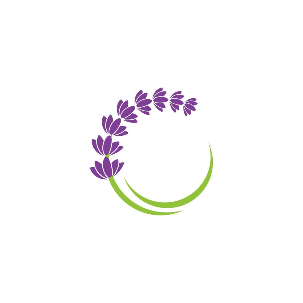 ilustración de icono de vector de flor de lavanda