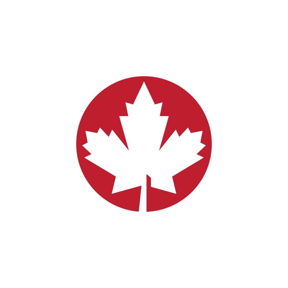 Maple leaf vector illustration