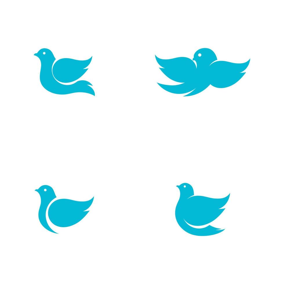 Bird wing Dove icon Template vector