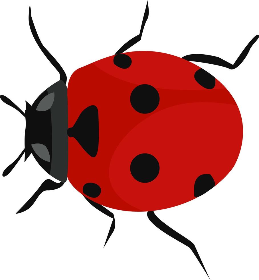 Cute ladybug, illustration, vector on white background