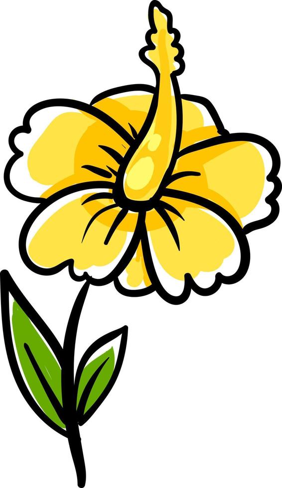 Yellow hibiscus, illustration, vector on white background.