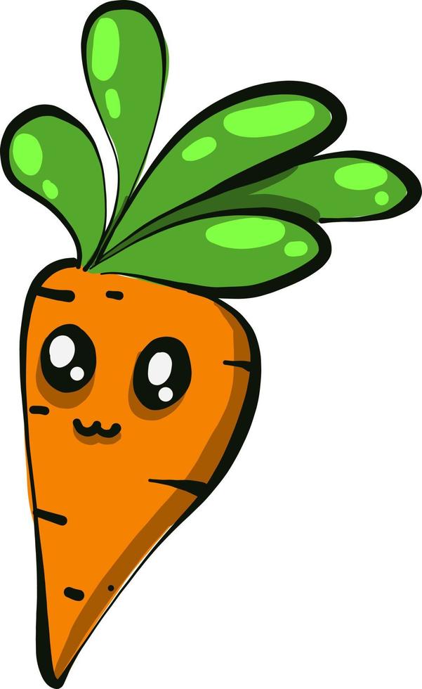 Baby carrot,illustration,vector on white background vector