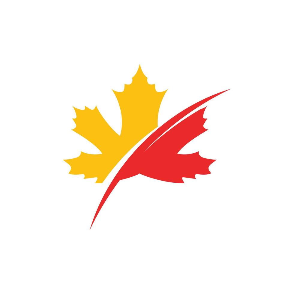 Maple leaf vector illustration