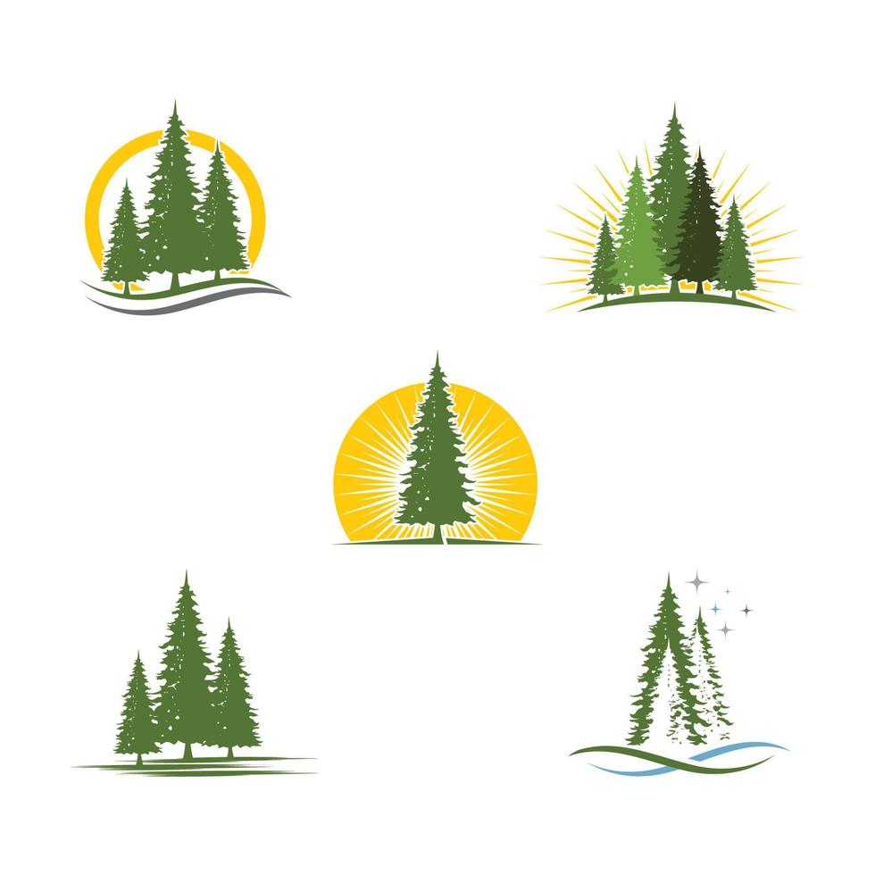 Cedar tree Logo template vector