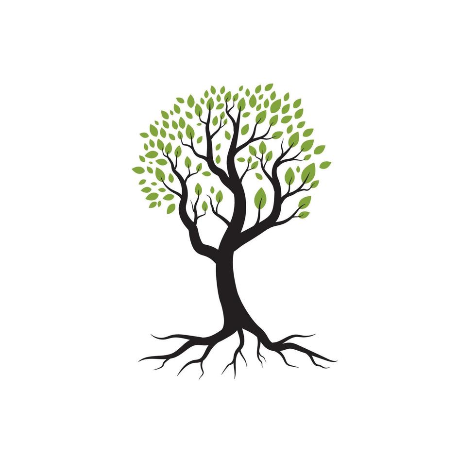 Logos of green Tree leaf ecology vector