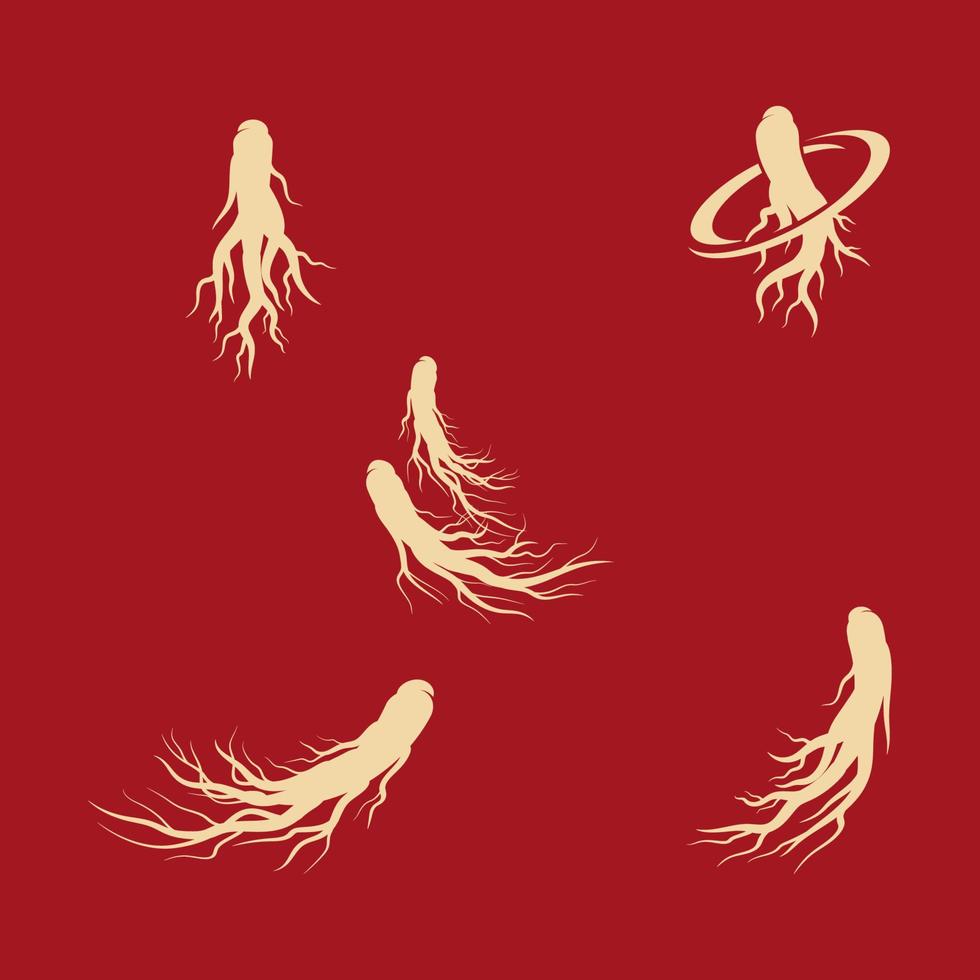 ilustración de icono de vector de ginseng