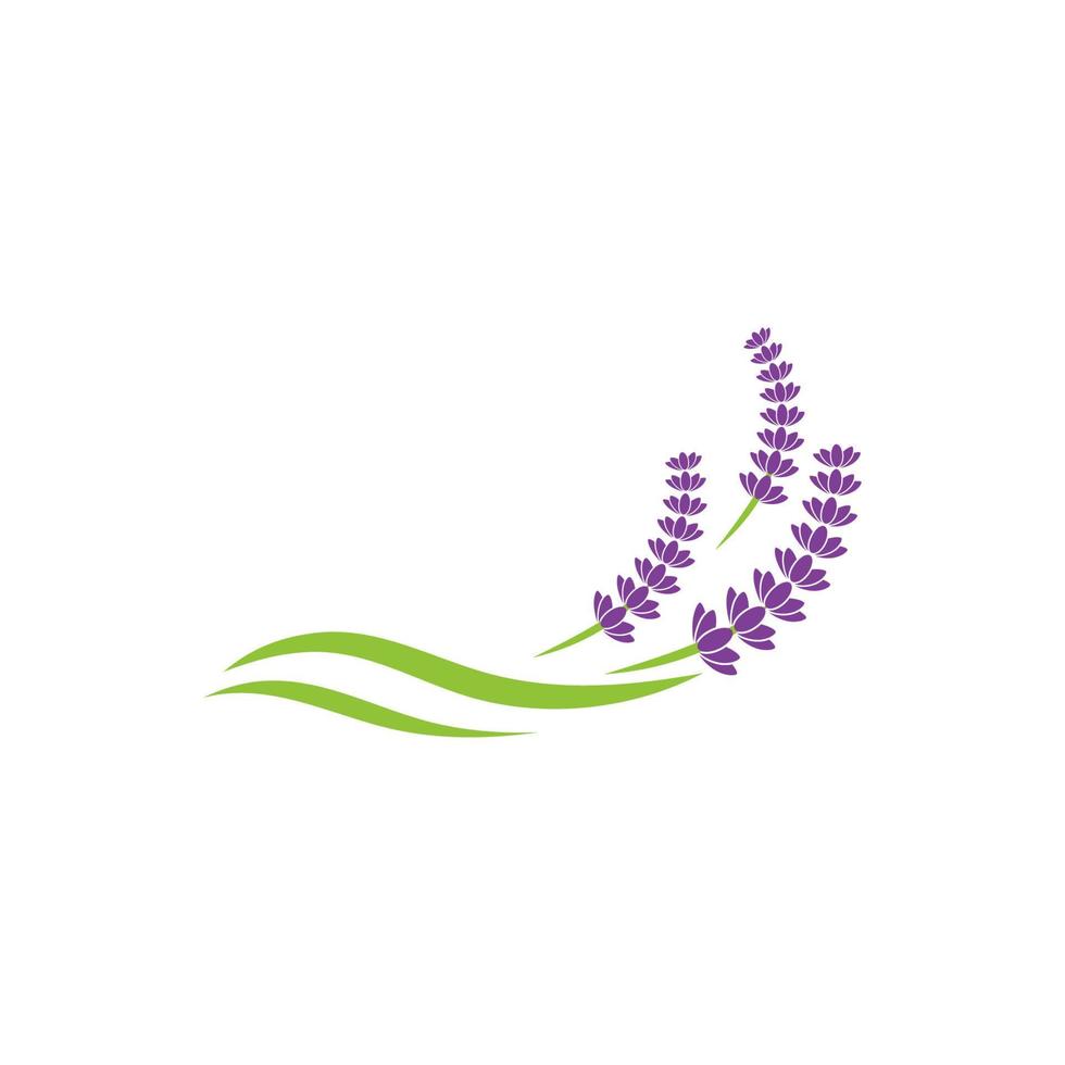 Lavender flower Vector icon illustration