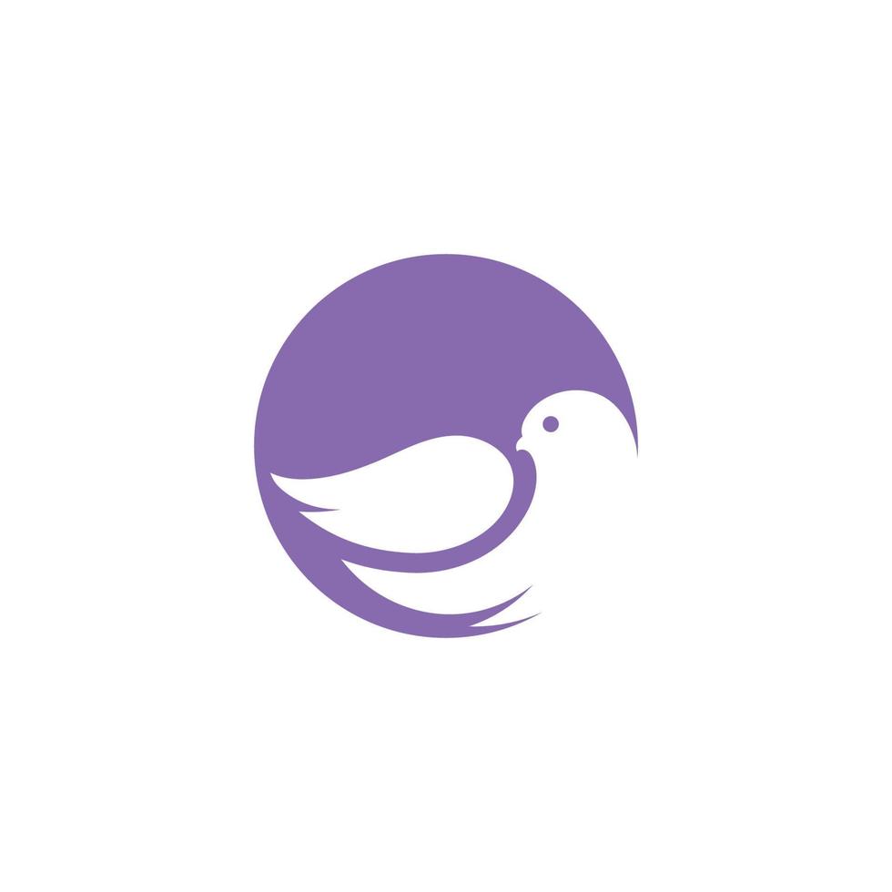 Bird wing Dove icon Template vector