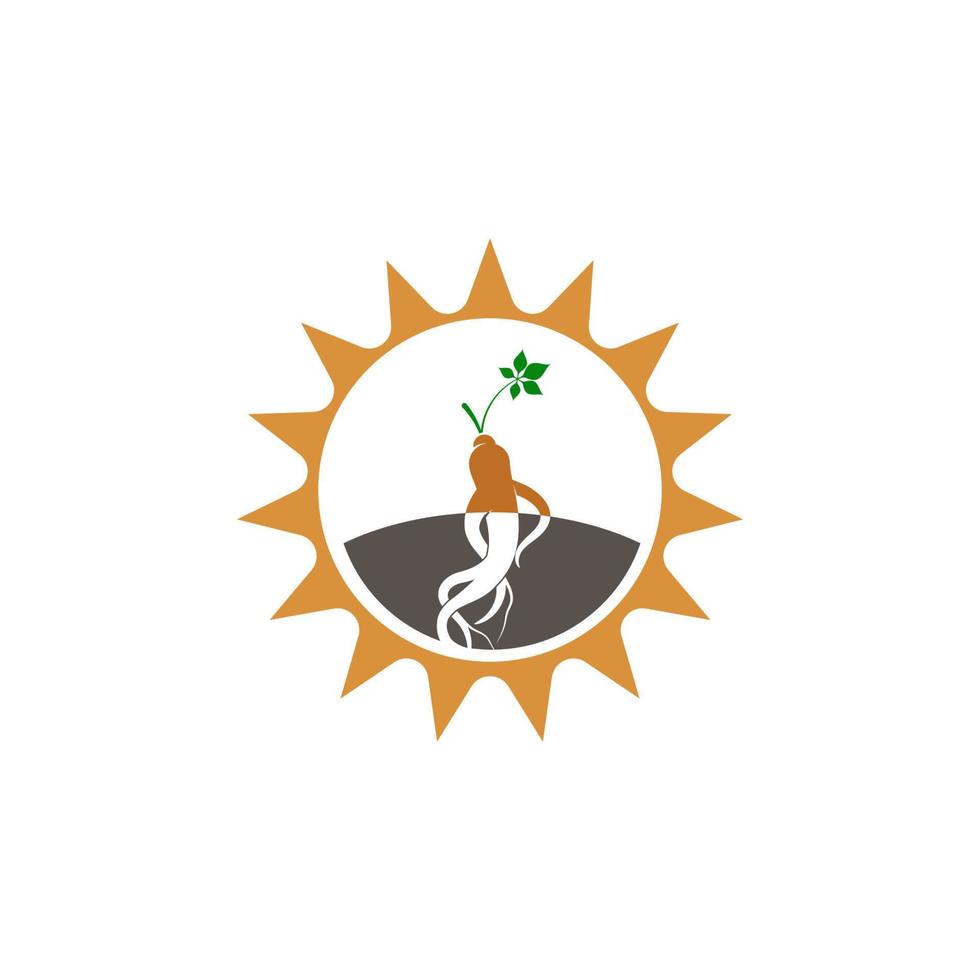 Ginseng vector icon illustration